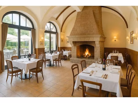 vente locaux professionnels 453 m² à torcy (77200)  399 000 €