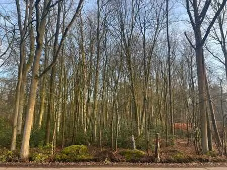 mooi breed perceel bouwgrond