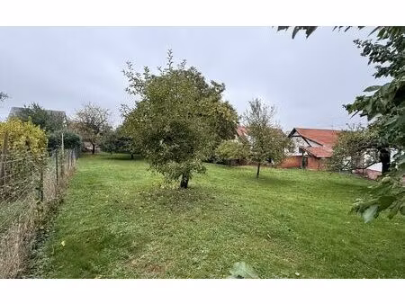 terrain mutzenhouse m² t- à vendre  145 000 €