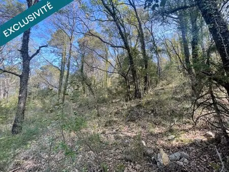 terrain en zone boisé