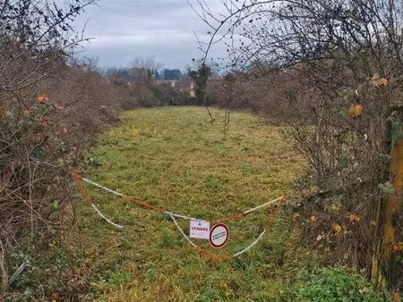 terrain constructible