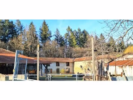 belle opportunité – propriété agricole de 17 hectares  bazo