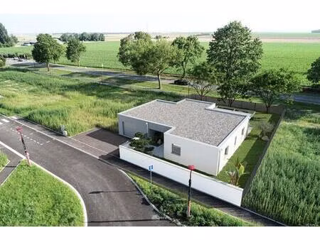 du neuf  rien que du neuf!!