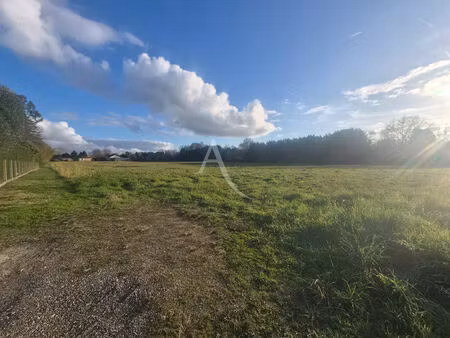 vente terrain  1306.00m²  villeneuve