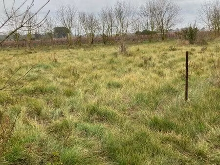 loue terrain pour animaux