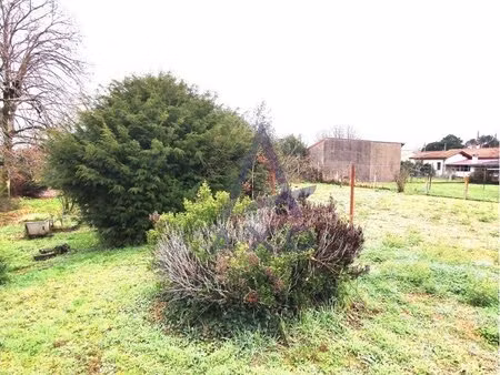 terrain constructible