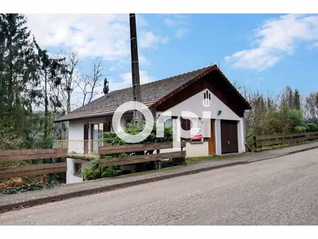 vente chalet 4 pièces 110 m² à la petite-pierre (67290)  139 000 €