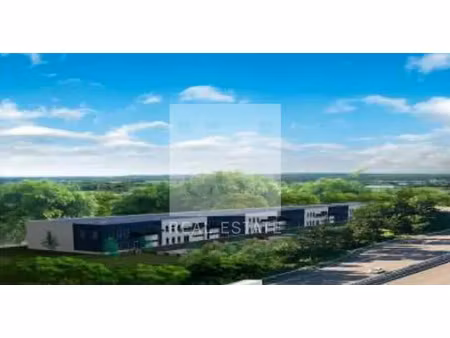 local d'activite a vendre ou a louer