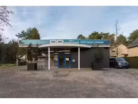 immo eibo