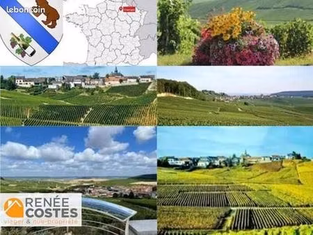 maison en viager 7 pièces 157 m²