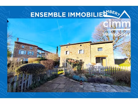 propriete de caractere : deux habitations et piscine