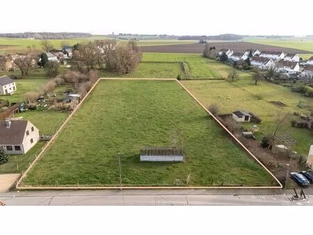 unieke bouwgronden in het landelijke beauvechain (la bruyère)