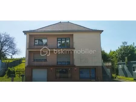 immeuble mixte de 242 m² à farebersviller