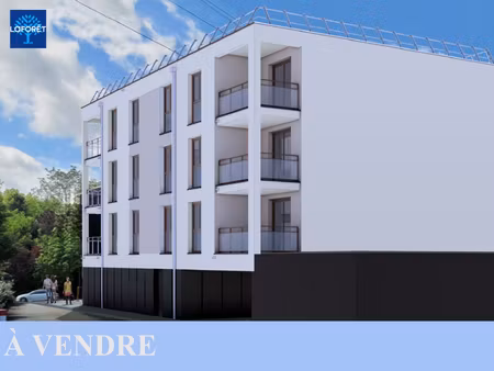 appartement t4 étupes à vendre