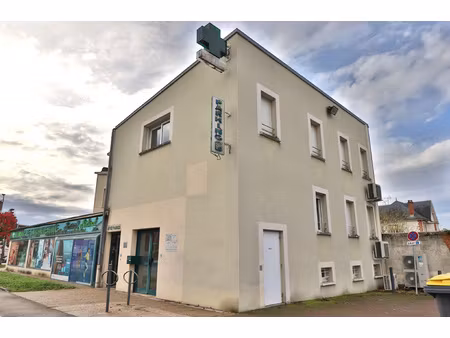 achat local professionnel 197m² ste savine 10300