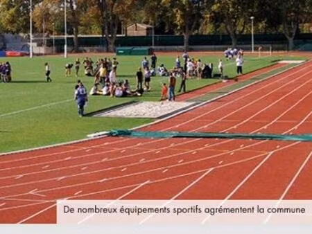 achat : appartement (13310)