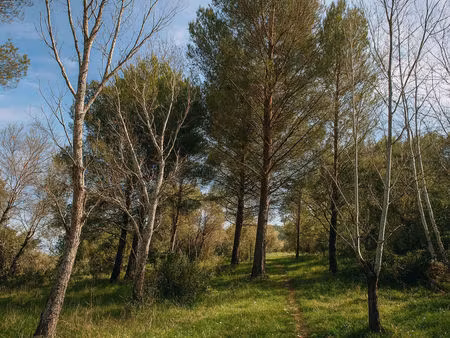 vente terrain 5968m2 mallemort 13370 - 2625000 € - surface privée