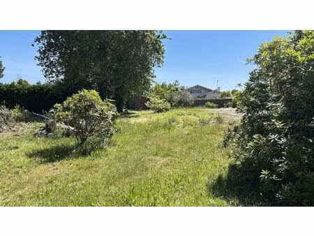 terrain viabilisé au calme proche de tous commerces