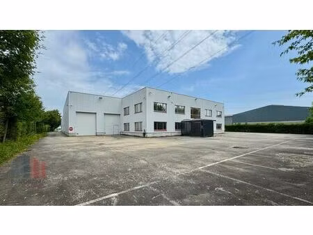 surface industrielle à vendre à z.5 mollem 291 asse (rbu91218)