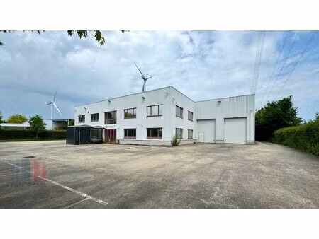 surface industrielle à vendre à z.5 mollem 291 asse (rbu91219)