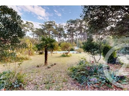 annonce terrain à vendre