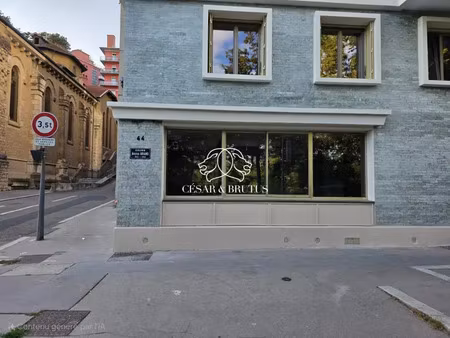 immobilier professionnel à louer caluire-et-cuire