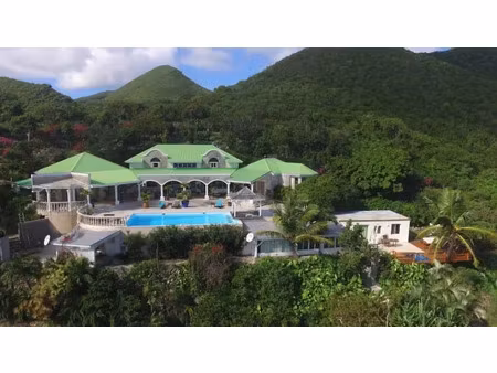 vente villa 6 pièces 320 m² à saint-martin (97150)  3 100 000 €