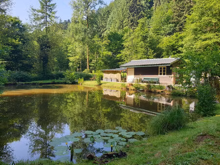 vente terrain 5965 m² drulingen (67320)