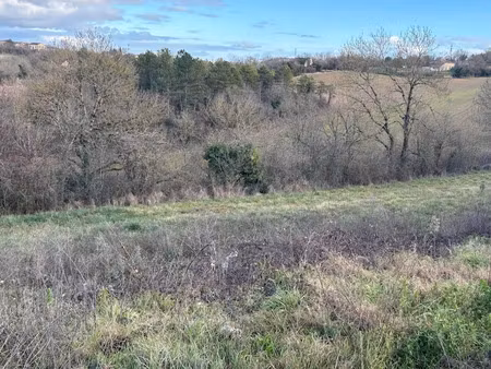 vente terrain 4750 m² à labastide-gabausse (81400)  48 000 €