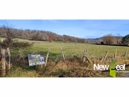 vente terrain 3880 m² à saint-viance (19240)  29 000 €