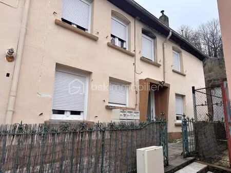 opportunité d'investissement exceptionnelle à sarreguemines (57200) rendement brut de 8 17