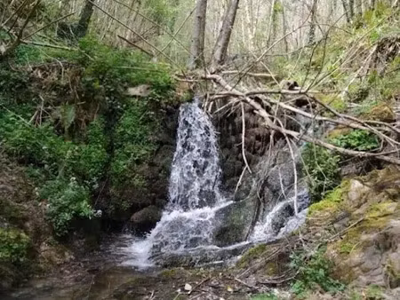 vente terrain à saint-salvy-de-la-balme (81490)  67 000 €