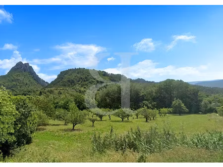 vente terrain 11810 m² à buis-les-baronnies (26170)  744 700 €