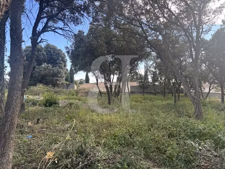 vente terrain 650 m² à sainte-cécile-les-vignes (84290)  187 000 €