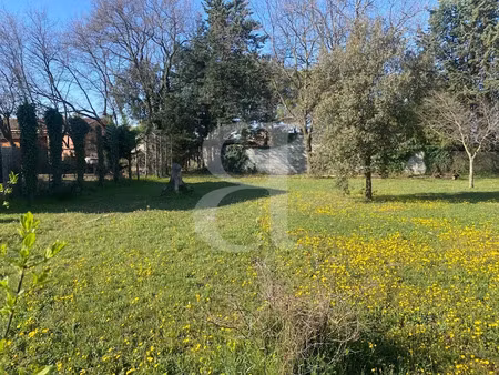 vente terrain 546 m² à carpentras (84200)  159 000 €