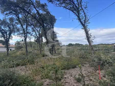 vente terrain 650 m² à sainte-cécile-les-vignes (84290)  203 000 €