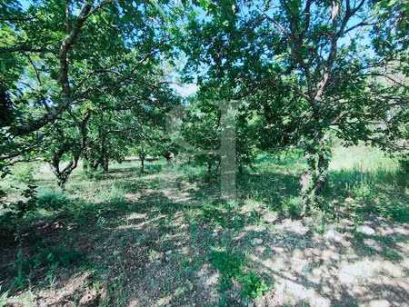 vente terrain 1335 m² à vaison-la-romaine (84110)  139 000 €