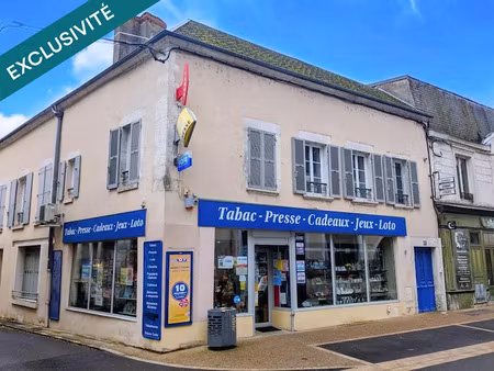 vente locaux professionnels 100 m² à pouilly-sur-loire (58150)  340 000 €