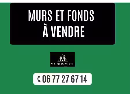 vente locaux professionnels 1 pièce 110 m² à calvi (20260)  499 200 €