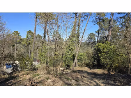 terrain avec permis de construire à saint-paul-en-forêt