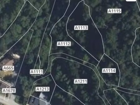 2 parcelles de bois à savignac