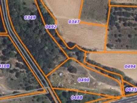 forêt de chênes/ terrain