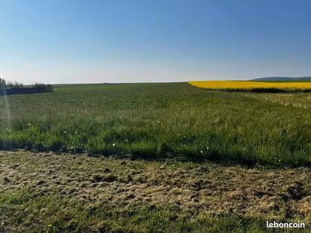 terrain 1 621 m² laines aux bois