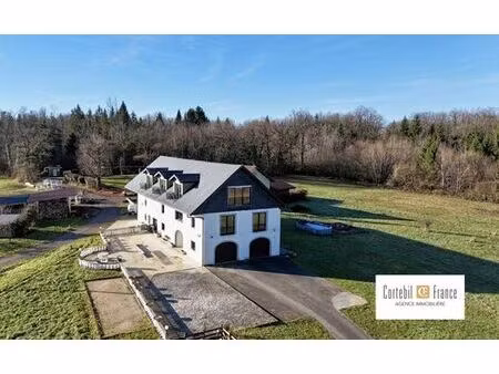 maison de luxe de 7 chambres en vente à cercier  france