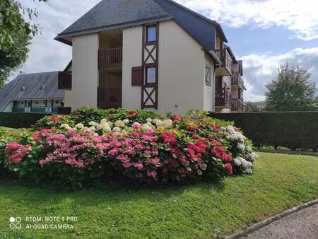 location appartement 1 pièce 19 m² à deauville (14800)