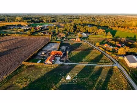 hoeve te koop in weelde