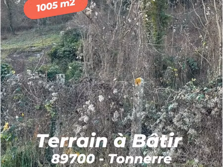 vente terrain 1 005 m²