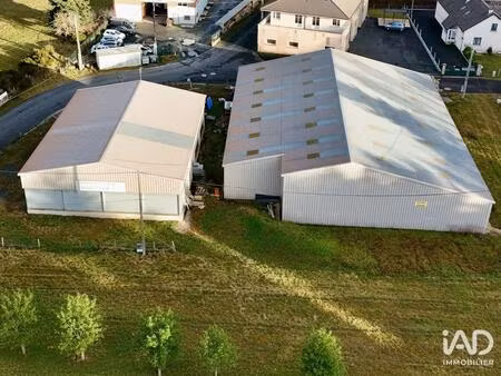 vente commerce 1150 m² rimeize (48200)