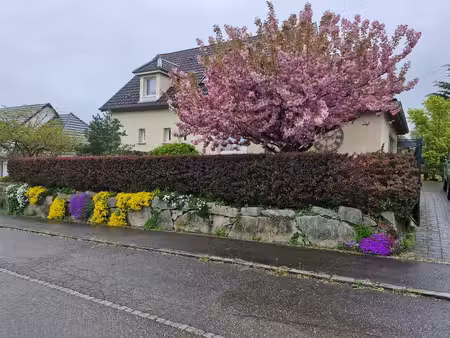 en vente maison 251 m² – 690 000 € |wentzwiller