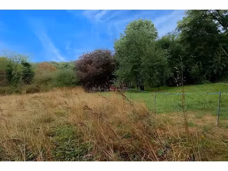 vente terrain 33821 m² à carmaux (81400)  28 000 €